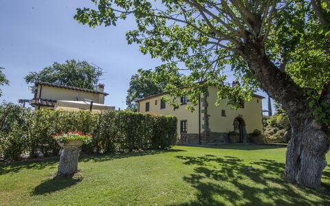 Villa Del Monte: Ejendom, Træ, Hus, Ejendom, Hjem, Græs, Bygning, Estate, Vedplante, Arkitektur