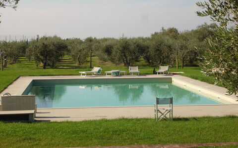 Agriturismo la Papessa: Vand, Plante, Ejendom, Svømmepøl, Himmel, Rektangel, Skygge, Græs, Land Lot, Fritid