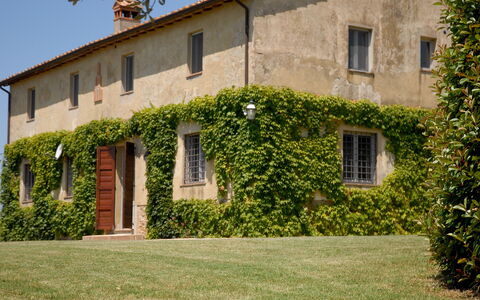 Podere San Giovanni: Plante, Bygning, Vindue, Ejendom, Himmel, Vegetationen, Land Lot, Græs, Sommerhus, Hus