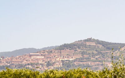 Agriturismo Il Sambuco