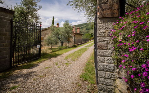 Villa Le Capanne: Vegetationen, Blomst, Forår, Væg, Træ, Græs, Plante, Busk, Hus, Botanik