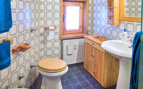 The Twins Apartment - Champoluc: Badeværelse, Ejendom, Værelse, Blå, Indretning, Flise, Hus, Toiletbræt, Ejendom, Etage