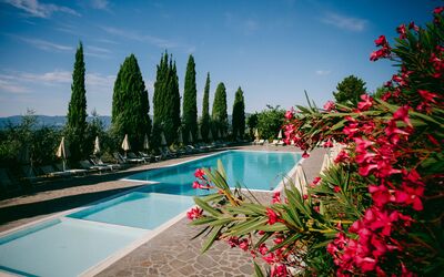 Fattoria Fronzano: Vand, Blomst, Himmel, Sky, Plante, Ejendom, Svømmepøl, Træ, Naturlige Landskab, Arecales