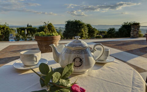 Villa Di Cinzia: Teapot, Bordservice, Træ, Ferie, Værelse, Bord, Hus, Plante, Fotografering, Drinkware