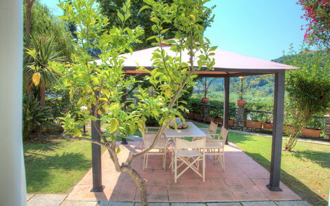 Casa Del Sole - San Bartolomeo Al Mare: Ejendom, Ejendom, Træ, Backyard, Hus, Gård, Gårdhave, Bygning, Have, Plante