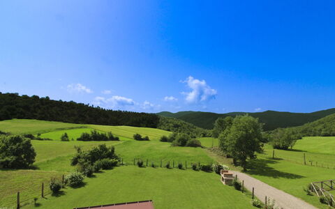 Poggio del Fabbro: Bjergrige Landskabsformer, Græs, Grøn, Natur, Naturlige Landskab, Bakke, Græs-, Bjerg, Highland, Landskab