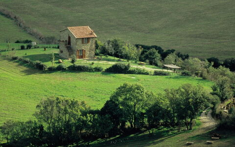 Agriturismo le Calle: Plante, Grøn, Vindue, Natur, Naturlige Landskab, Bygning, Træ, Vegetationen, Hus, Land Lot