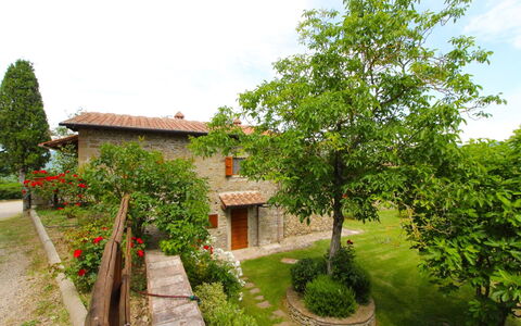 Borgo di Usciano: Plante, Himmel, Sky, Ejendom, Bygning, Vindue, Grøn, Træ, Naturlige Landskab, Hus