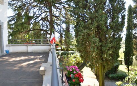 Villa Il Borghetto: Træ, Plante, Blomst, Forår, Arkitektur, Walkway, Parkere, Busk
