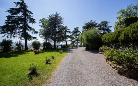 Villa i Cocciai: Træ, Natur, Vegetationen, Naturligt Miljø, Himmel, Græs, Ødemark, Have, Botanik, Vej