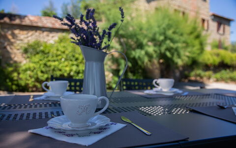 Villa i Cocciai: Bord, Kop, Drinkware, Træ, Bordservice, Kaffekop, Plante, Serveware, Dug, Te Kop