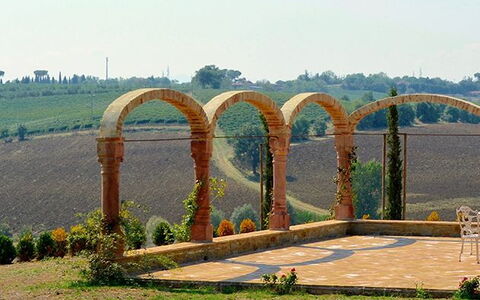 Luna Di Cortona: Arch, Arkitektur, Træ, Græs, Bro, Land Lot, Landskab, Buebro, Plante, Vej