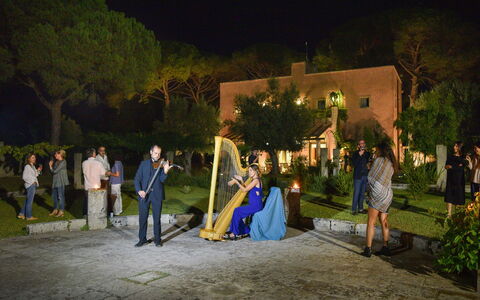 Masseria Lentisco: Fotografi, Nat, Gul, Belysning, Begivenhed, Træ, Ceremoni, Fritid