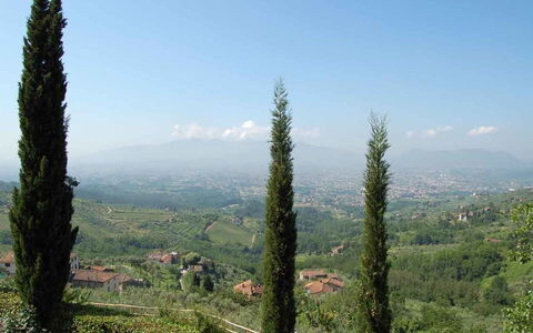 Borgo Antico Paolo: Træ, Hill Station, Vegetationen, Tropisk Og Subtropisk Nåleskov, Ødemark, Biome, Plante, Plantesamfund, Skov, Bjerg