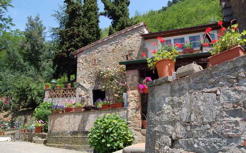 Borgo Antico Paolo: Ejendom, Bygning, Landsby, Væg, Hus, Landdistrikt, Stenmur, Sommerhus, Træ, Turisme