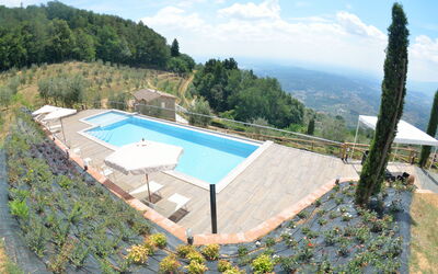 Villa Orchidea - Petrognano, Toscana, Italien