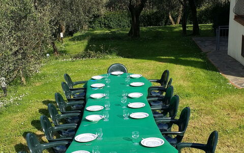 Villa Vaniglia Proprietà: Grøn, Græs, Ejendom, Lawn, Bord, Træ, Fritid, Have, Stol, Plante