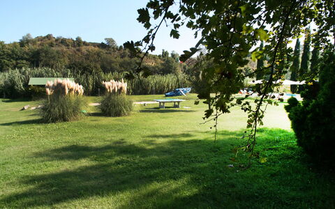 Agriturismo Girasole: Lawn, Græs, Naturlige Landskab, Grøn, Græs-, Pasture, Træ, Land Lot, Naturligt Miljø, Eng