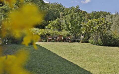 Ricavoli: Natur, Naturlige Landskab, Gul, Ejendom, Have, Græs, Træ, Botanik, Lawn, Landskab