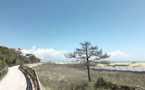 Bibione 655: Træ, Belysning, Indretning, Gulvbelægning, Etage, Stue, Ejendom, Hårdttræ, Bord, Bjælke