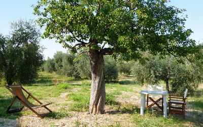 Peschici 653