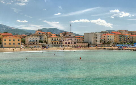 San Vincenzo 629