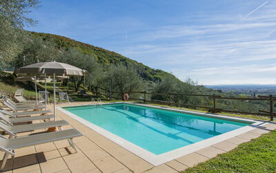 Francesco - Pieve a Nievole, Toscana, Italien