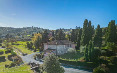 Lucca 657