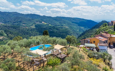 Pescia 629