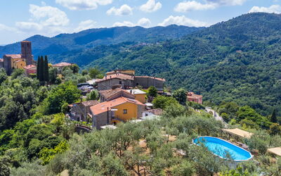 Pescia 629