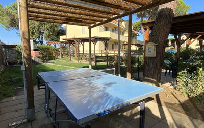 Cecina 610
