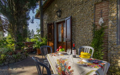Il Crocino Ii - Montopoli, Toscana, Italien