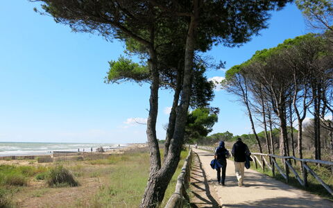 Bibione 660: Træ, Belysning, Indretning, Gulvbelægning, Etage, Stue, Ejendom, Hårdttræ, Bord, Bjælke