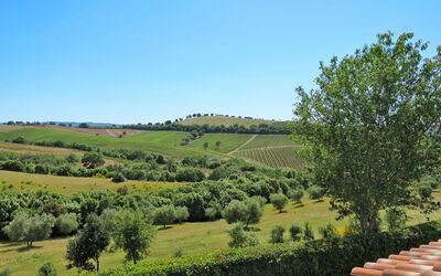 Istia D'Ombrone 602