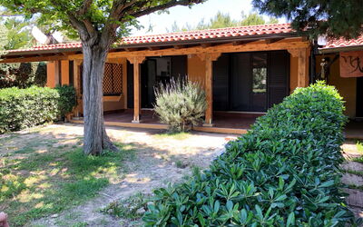 Contura (Tea110)