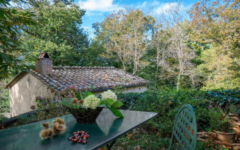 Casa Di Lilli: Blad, Natur, Vegetationen, Afdeling, Busk, Plantesamfund, Forår, Have, Bunddække, Kvist