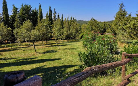 Villa Martina: Naturlige Landskab, Natur, Træ, Naturligt Miljø, Ødemark, Naturreservat, Biome, Hegn, Skov