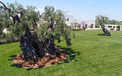 Masseria Villa Il Frantoio