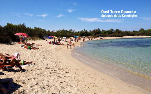 Villa Orchidea: Strand, Himmel, Ferie, Turisme, Ocean, Hav, Sommer, Kyst
