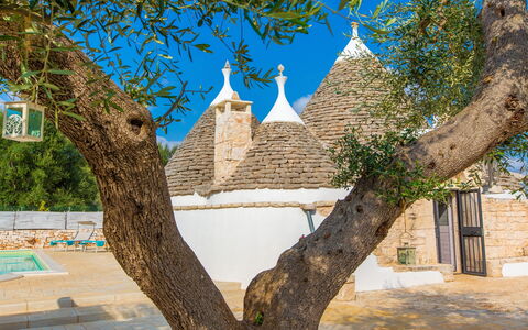 Trullo Del Mandarino: Træ, Arkitektur, Væg, Vedplante, Bygning, Plante, Afdeling, Turisme, Hus, City