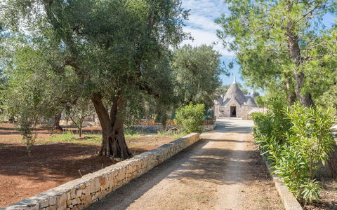 Trullo Suenn Con Piscina: Træ, Ejendom, Vej, Færdselsåre, Sti, Landskab, Plante, Walkway, Ejendom, Parkere