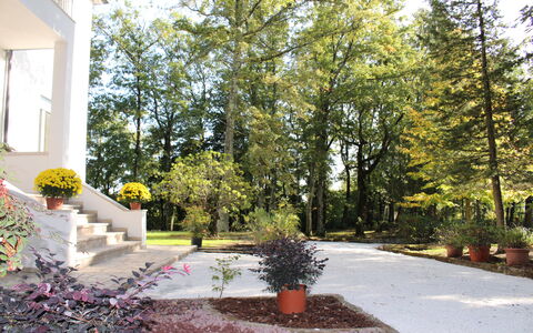 Villa La Casa Bianca: Ejendom, Hjem, Træ, Hus, Ejendom, Gård, Boligområde, Landscaping, Have, Landskab