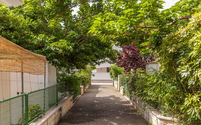 Stradina privata d'ingresso/uscita