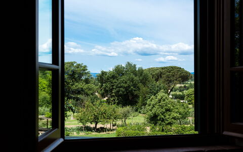 Casale Vacanze Il Granaio: Vegetationen, Himmel, Vindue, Blå, Træ, Naturligt Miljø, Botanik, Hus, Blad, Værelse
