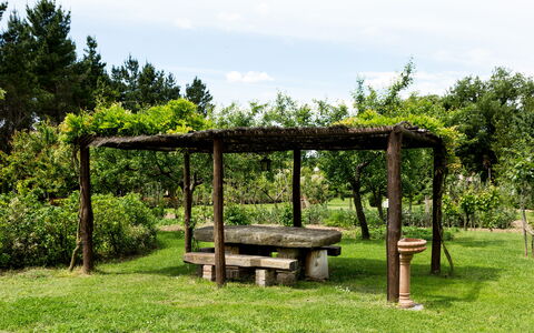 Casale Vacanze Il Granaio: Grøn, Naturreservat, Træ, Botanik, Græs, Have, Pavilion, Bord, Græsfamilien, Forår