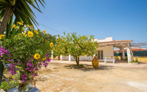 Villa Mediterranea: Ejendom, Blomst, Gul, Plante, Ejendom, Træ, Hus, Ferie, Bygning, Landdistrikt