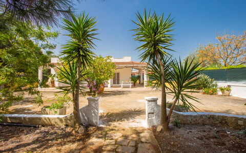 Villa Mediterranea: Ejendom, Hus, Hjem, Ejendom, Træ, Estate, Bygning, Boligområde, Palme Træ, Arecales