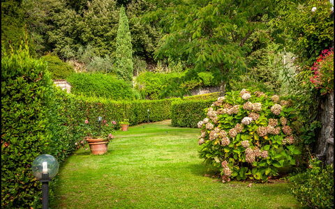 Orto Degli Olivi Proprietà: Have, Natur, Lawn, Træ, Vegetationen, Grøn, Græs, Busk, Naturlige Landskab, Plante