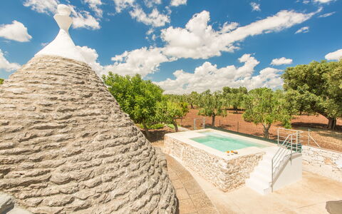 Trullo Del Pioppo Gigante: Sky, Himmel, Tækning, Plante, Træ, Hus, Landskab, Svømmepøl, Græs, Naturlige Landskab