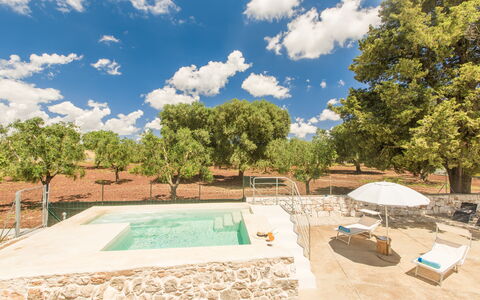 Trullo Del Pioppo Gigante: Sky, Himmel, Daytime, Ejendom, Plante, Træ, Svømmepøl, Skygge, Vand, Land Lot